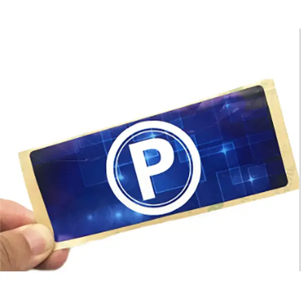 Система Управления Парковкой RFID (20)