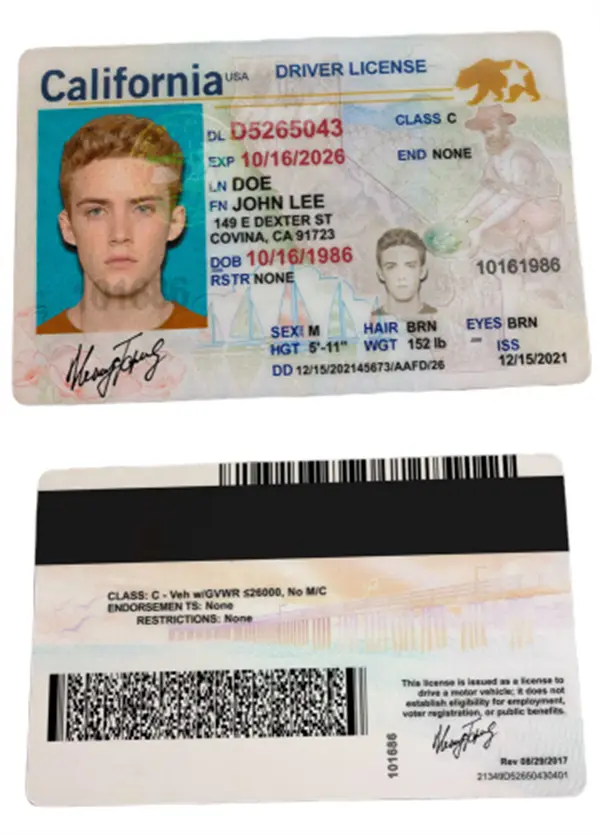 Driver's Licence.png