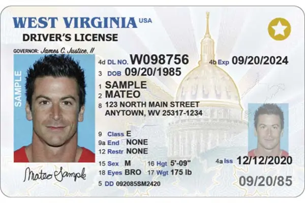 Driver's Licence (2).jpg