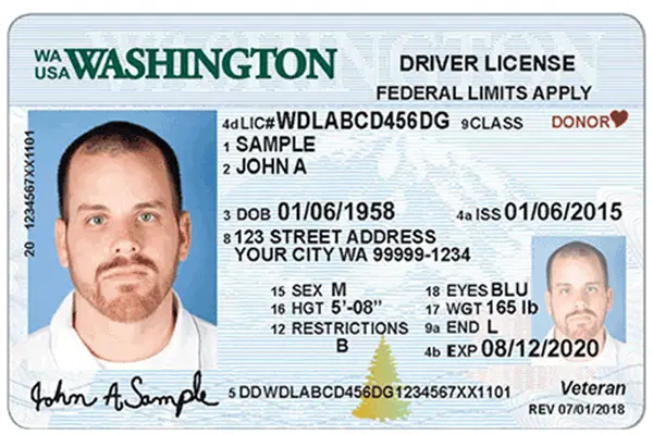 Driver's Licence.png